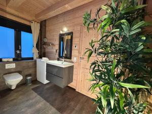 baño con aseo, lavamanos y planta en Harz-Blockhaus, Berg -"Hütte" mit Sauna und Kamin, en Hahnenklee-Bockswiese 22 fotos más