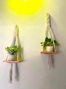 Φωτογραφία από το άλμπουμ του Blue Stay Inn Holiday Home - Near Baga Calangute Beach σε Calangute +22 φωτογραφίες