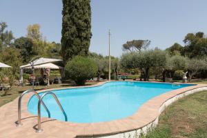 罗马Loft Appia Antica Donna Eugenia的树木繁茂的公园里的一个大型游泳池