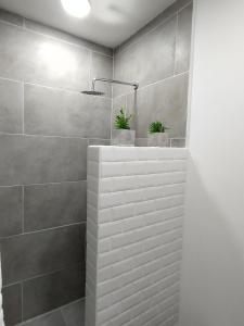 baño con ducha con 2 macetas en La Casa de Nelly - Medellín, en Medellín