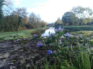 Příroda nedaleko chaty