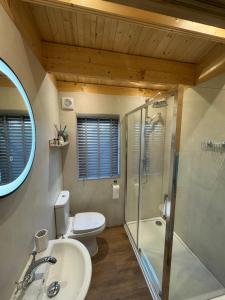 Un baño con inodoro, ducha y lavabo. en Lake Lodge at Farthings Farm, en Clyst Saint Lawrence 35 fotos más