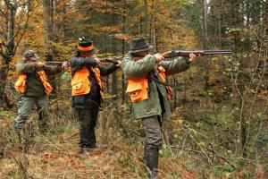 Επισκέπτες που μένουν στο Sobe Rogatica