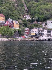 Příroda nedaleko penzionu