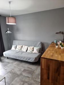 a living room with a gray couch with pillows at Le Cocon de Pinerato in Albi