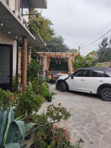 Φωτογραφία από το άλμπουμ του hotel floreale σε Rustavi +8 φωτογραφίες