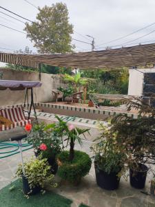 Foto sihtkohas Rusthavi asuva majutusasutuse hotel floreale galeriist +8 fotot