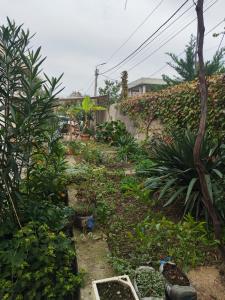 Foto sihtkohas Rusthavi asuva majutusasutuse hotel floreale galeriist