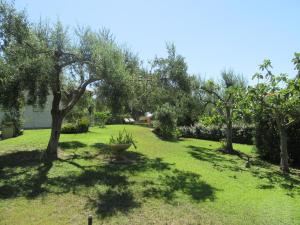 a green yard with trees and a vase in the grass at Dany in Costa Rei