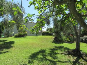 a green yard with a tree and a building at Dany in Costa Rei