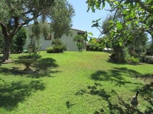 a yard with a house with trees and green grass at Dany in Costa Rei