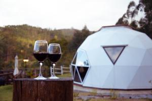 two glasses of wine sitting on a stump next to a tent at Skydomo in Salesópolis
