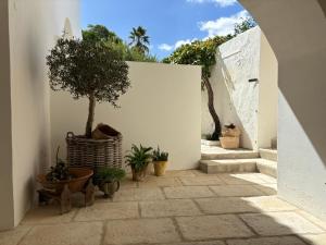 Φωτογραφία από το άλμπουμ του Alentejo Living σε Messejana