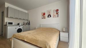 a white room with a bed and a kitchen at Bakuriani Cozy Studio in Bakuriani