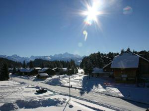 普拉茲德里斯Studio cosy avec terrasse et parking, 4 pers, Le Praz de Lys - FR-1-815-19的一座雪覆盖的村庄,设有滑雪缆车