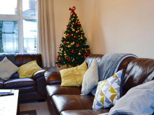 a christmas tree in a living room with a couch at Zonnebloem in Cefn-y-bedd +23 photos
