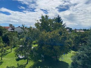 Una vista aérea de un árbol en un campo en Modernes Wohlfühl-Apartment im Illertal, en Dettingen an der Iller