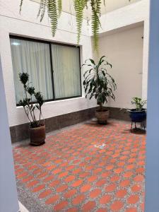 a room with two potted plants in a building at Unbeatable location in Medellín in Medellín