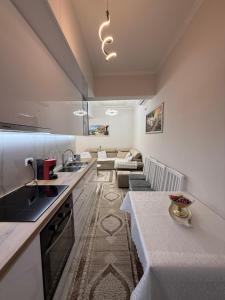 シェンジンにあるApartament shengjin Bekoのキッチン、リビングルーム(背景にソファ付)