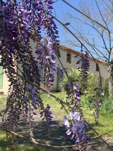 Zahrada ubytování la bastilac chambre terracotta + 6 fotografií