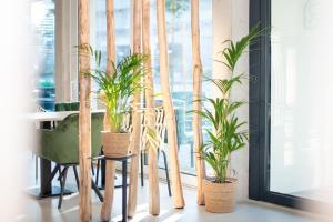 a group of potted plants sitting on a window sill at RELAXANS Hotel in Dinkelsbühl +19 photos