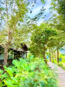 a garden with green plants and a wooden walkway at Dalasone Pool Villas with Stunning Mountain Views in Vang Vieng