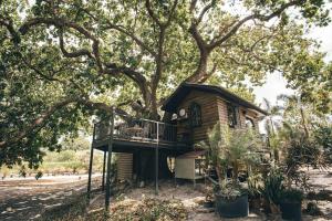 Vườn quanh Quinta Pavo Real By Acomodo