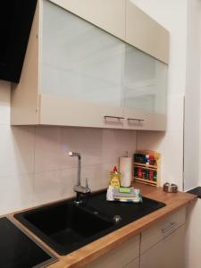 a kitchen with a sink and a counter top at Gemütliche Erdgeschosswohnung mit 3 Einzelzimmern! in Niederdorla +4 photos