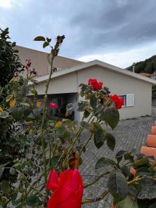 Afbeelding uit fotogalerij van Casa do eirô in Resende