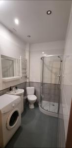 een badkamer met een toilet, een wastafel en een douche bij Old Town Apartment Bydgoszcz in Bydgoszcz