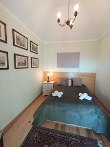 a bedroom with a large bed and a chandelier at The Goat's Place III in Gaula