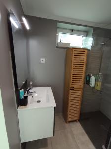 a bathroom with a sink and a shower and a mirror at The Goat's Place III in Gaula