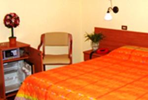 a bedroom with a bed and a desk and a chair at Hotel Delle Alpi in Sondalo