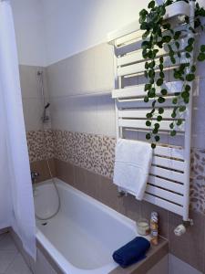 baño con bañera y planta en B4 Garden ***, en Siófok 35 fotos más