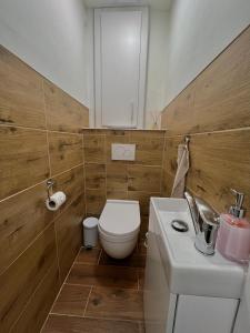 a bathroom with a white toilet and a sink at Apartmán v centru Trutnova in Trutnov