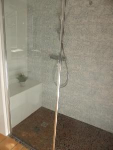 una ducha con puerta de cristal en un baño en Gite Ar Maez, en Saint-Nolff