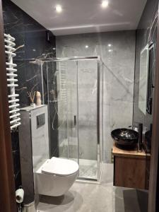 ein Badezimmer mit Dusche, Toilette und Waschbecken in der Unterkunft Apartament pod Czarną Górą in Stronie Śląskie