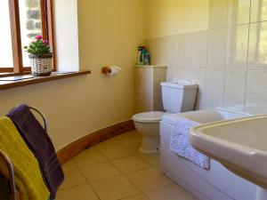 Saint EndellionにあるRound House - Uk12083のトイレと洗面台のあるバスルーム