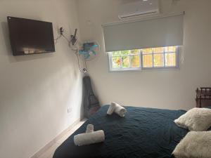 Μια τηλεόραση ή/και κέντρο ψυχαγωγίας στο La Violeta Due