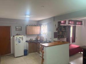 a kitchen with a white refrigerator and a counter at La Violeta Due, casa con jardín y cochera in San Pedro +23 photos