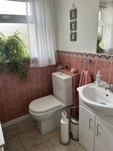 a bathroom with a toilet and a sink at Haralyn in Bunclody
