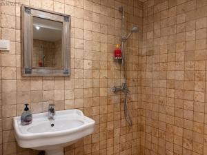 派尔努Free Parking l Everything nearby的带水槽和带镜子的淋浴的浴室 更多28张照片