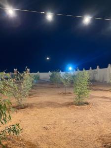 Φωτογραφία από το άλμπουμ του استراحة ومخيم العاصفة σε Rumāḩ