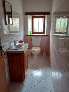 サン・テティエンヌ・ド・バイゴリにあるGîte ETXOLAのトイレと洗面台のあるバスルーム +19枚の写真