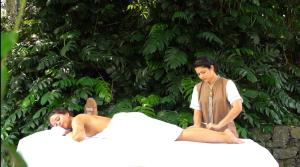 Επισκέπτες που μένουν στο Ayurveda Colonial Mansion +21 φωτογραφίες