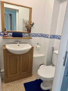 ein Badezimmer mit Waschbecken, Toilette und Spiegel in der Unterkunft 36 Beach Court - Sea Views, Parking, Balcony in Pembrokeshire + 6 Fotos