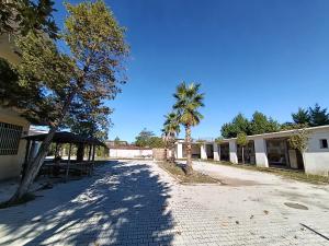 a building with a palm tree and a street at Northern Lane in Shkodër