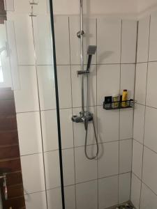 a shower with a shower head in a bathroom at Les gîtes Lanmou 2 in La Désirade +13 photos