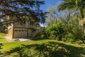 ベント・ゴンサルベスにあるRecanto dos Vinhedosの家の前の芝生に寝た犬