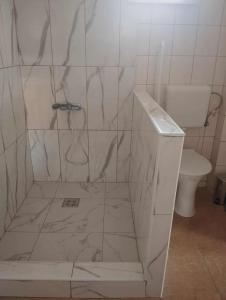 a white tiled bathroom with a toilet and a shower at NADENKA & MGR Vendégház in Alsótelekes +21 photos